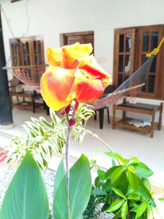 Kaithakuzhi Home Stay バルカラ ホームステイ